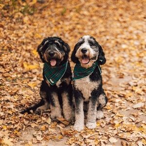 Meet your Posher, Katherine